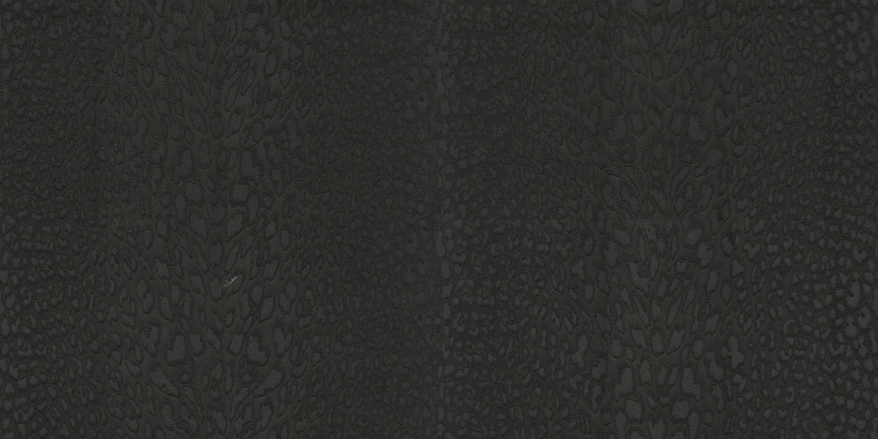 21044 Обои Emiliana Parati/Roberto Cavalli №9, 10.05 х 1.06 , (Иаталия)