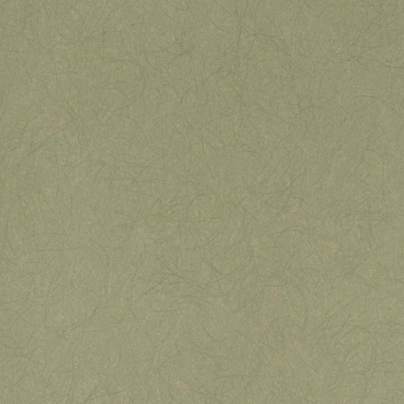 756aee6a6a63b305d93d36e272fc920a.jpg