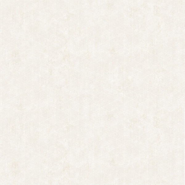 8204a53e8d2535fb528844d08f9d99db.jpg