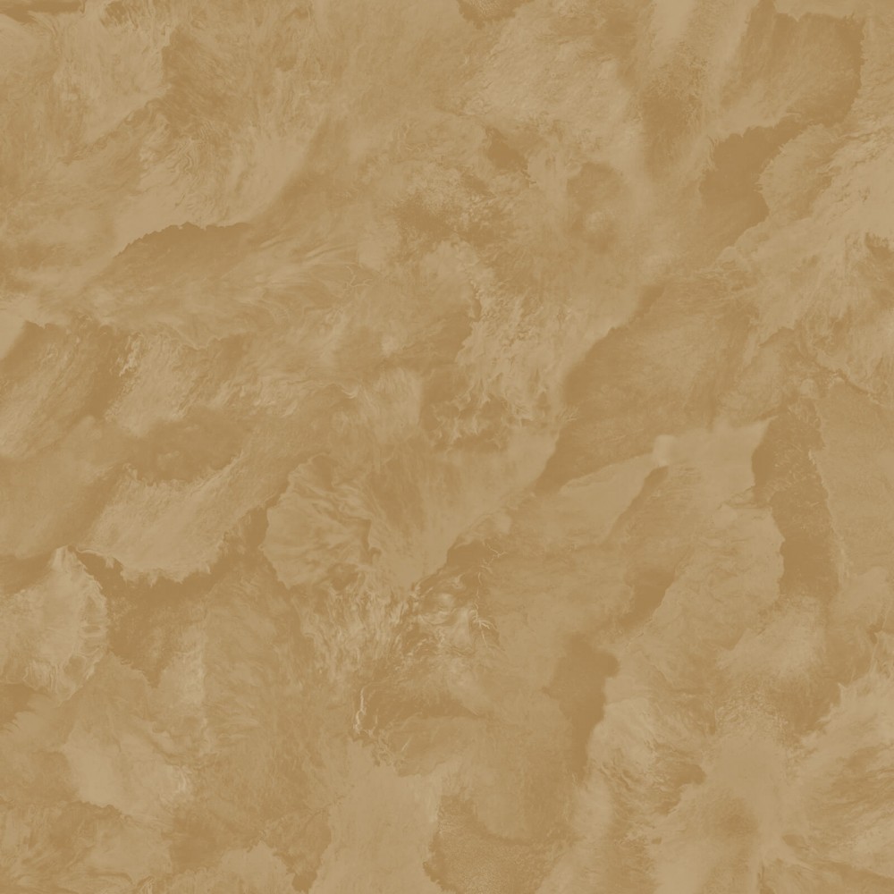 880bbdf84d2c96c6eda7cebdeebc3144.jpg