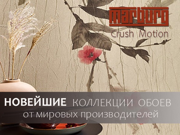 Главная
