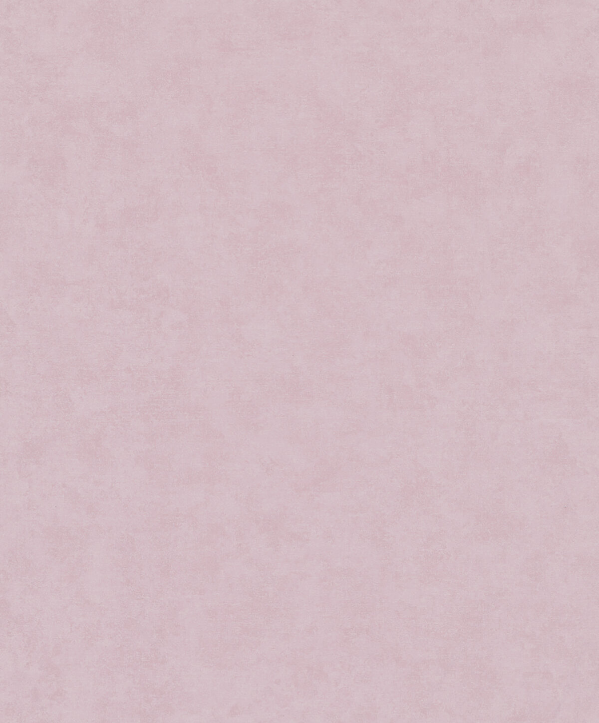 a9c77ff87d167ceb783a12de15e68ac2.jpg