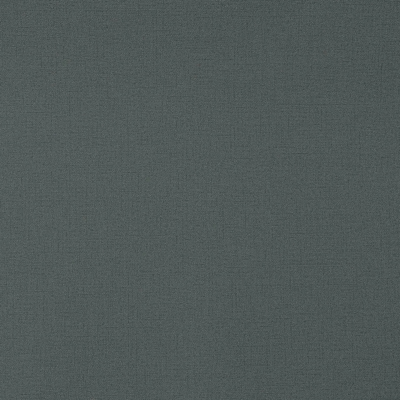 54379-9 Обои Andrea Rossi/Spectrum Pro, 10.05х1.06м , (Южная Корея)