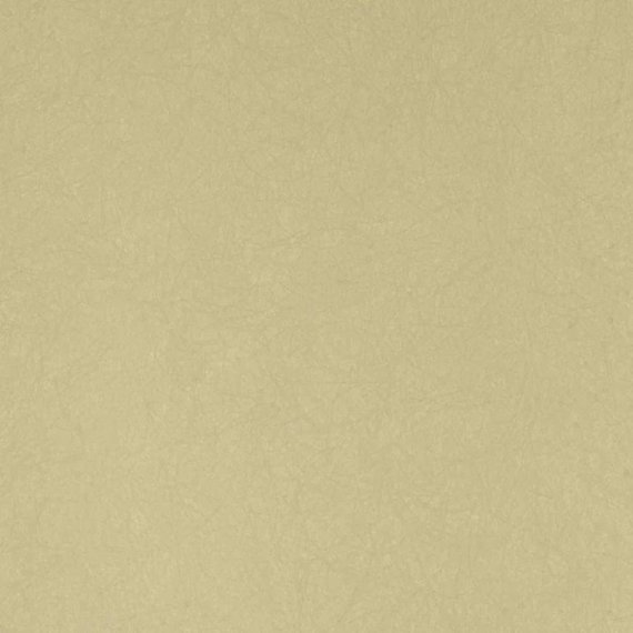 f6182c6331f69e6dcac3063cc8c71bed.jpg