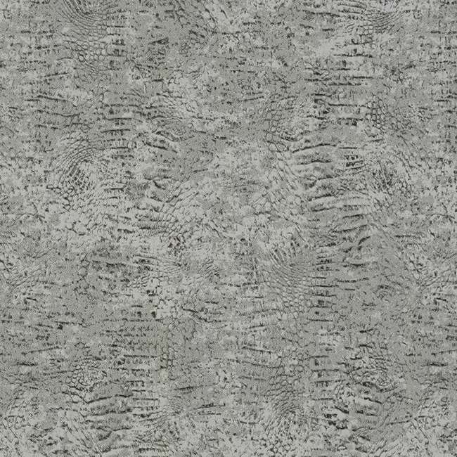 f70c6619fc0f5bf8b9896fb90bed3176.jpg